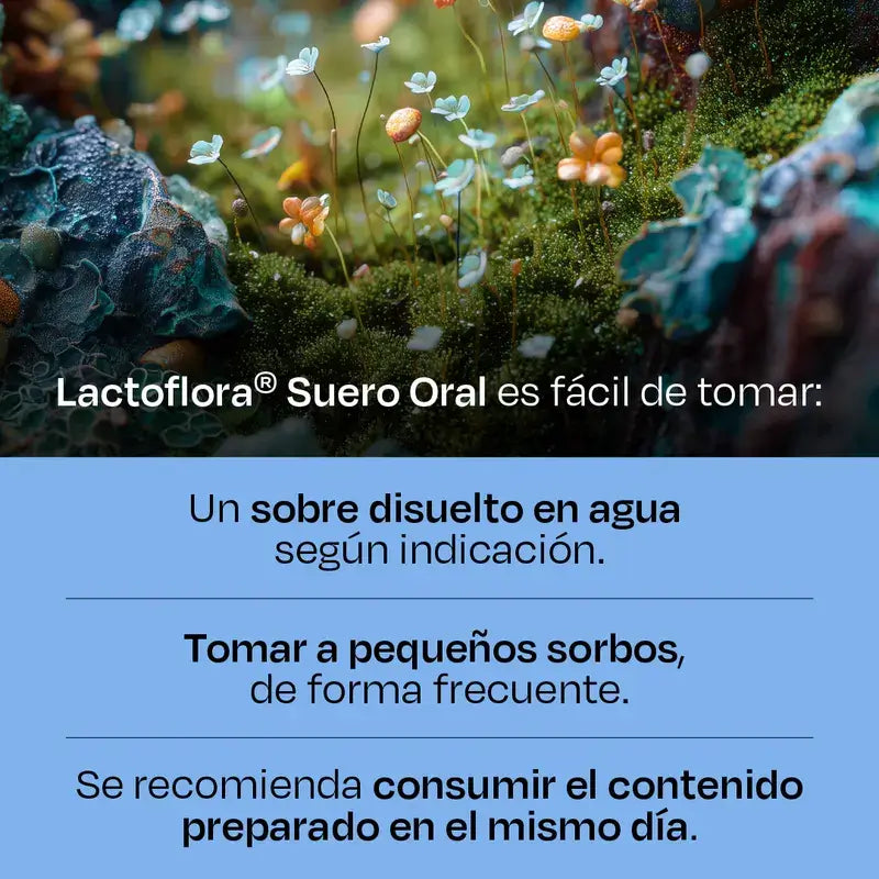 Lactoflora Oral Serum, 2X6 Umschläge