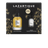 Lazartigue Weihnachtsset Pflegendes Trockenöl + Thermoprotektives Serum , 2 Stück