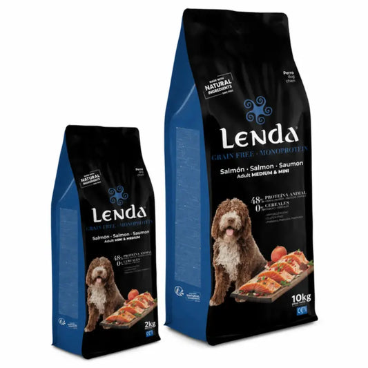 Lenda Monoprotein Lachs Gf 10+2 kg