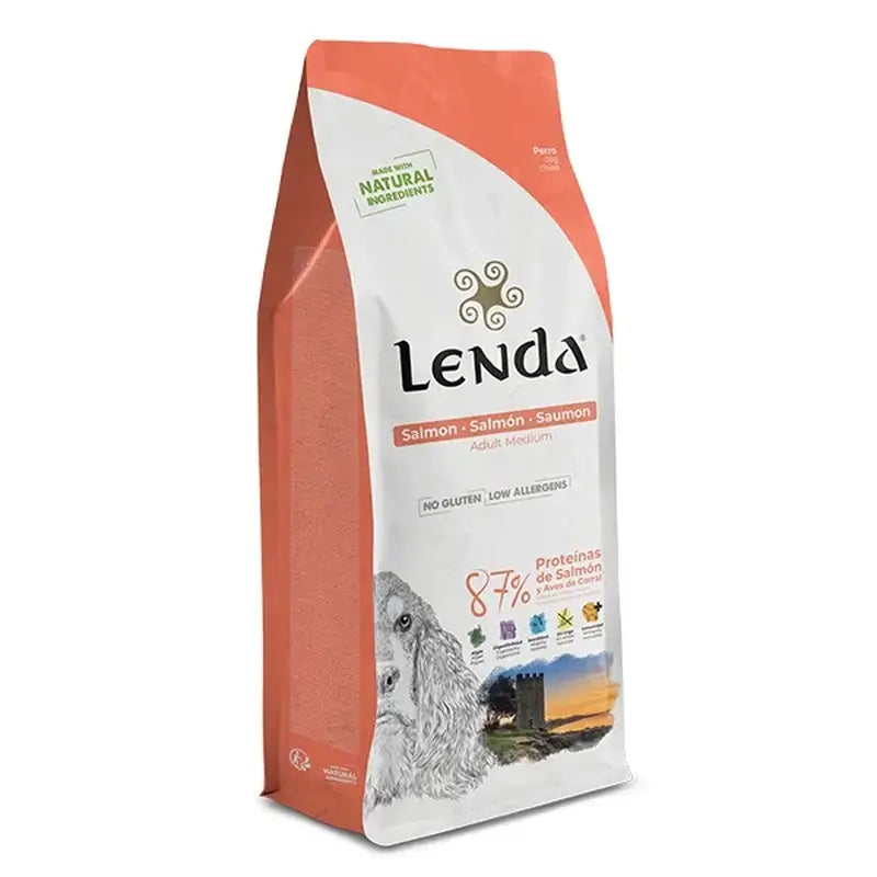 Lenda Adult Hund Lachs, 2 kg