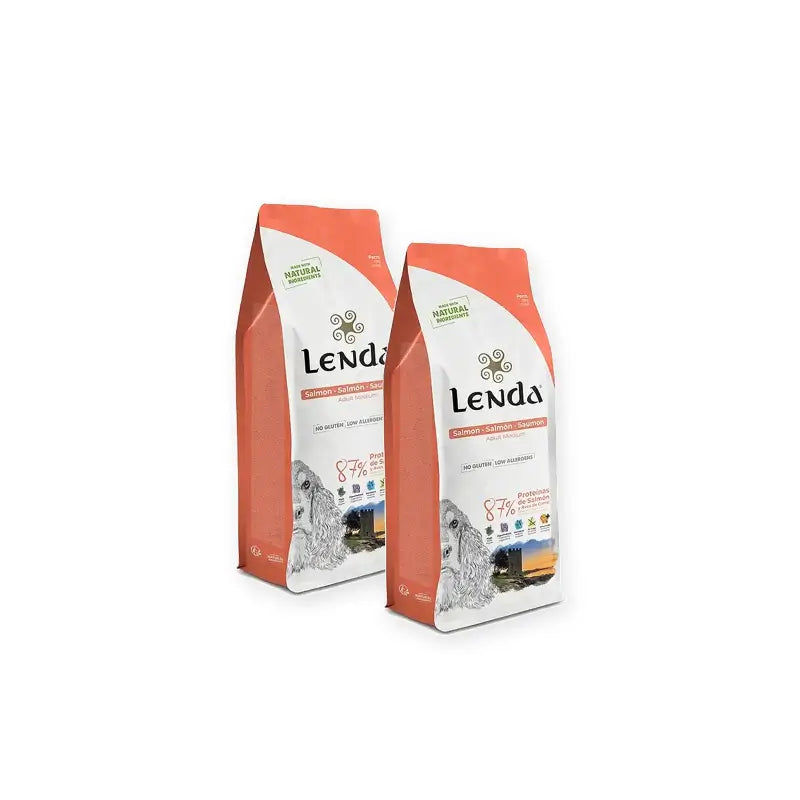 Lenda für ausgewachsene Hunde – Lachs, 2er-Pack à 12 kg