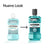 LISTERINE Menthol-Mundspülung, 500 ml