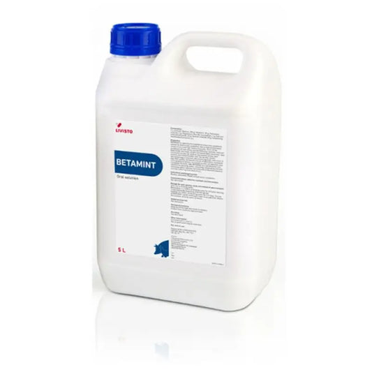 Livisto Betamint 5 Liter