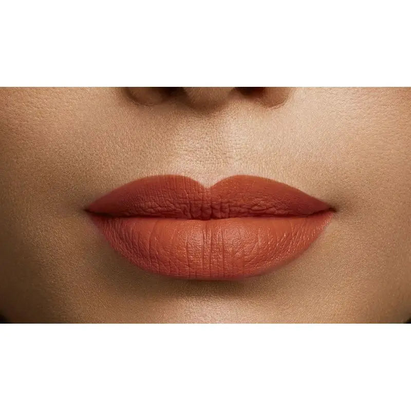 L'Oréal Paris Farbe Riche 108 Brun Cuivre Rosenbrauner Lippenstift
