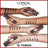 L'Oréal Paris Infallible 32H Matte Cover Matte Base 300 Ambre 30Ml mit Niacinamid, Spf25, wasserfest