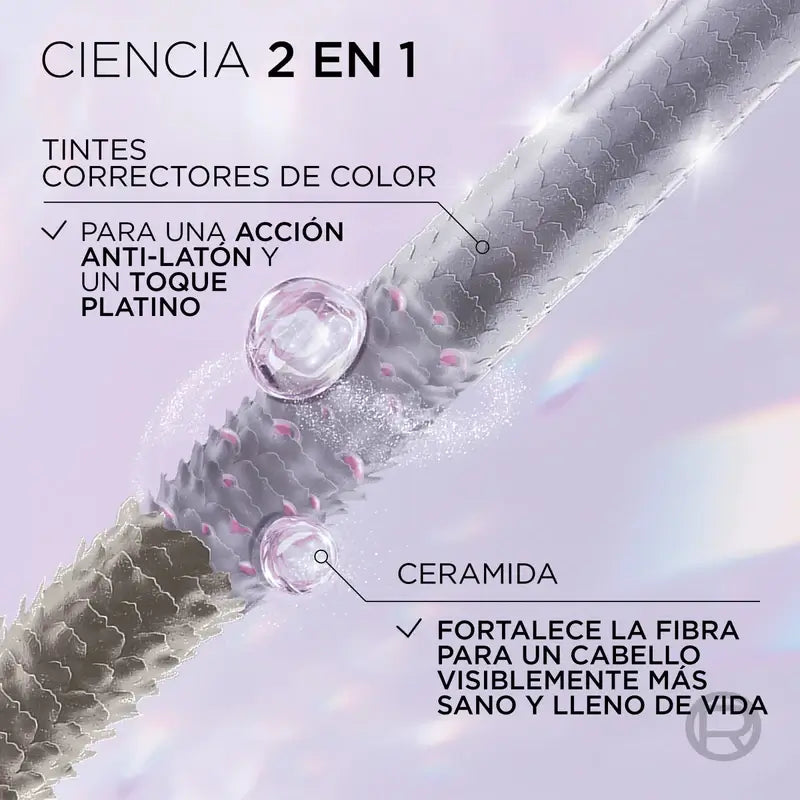 L'Oreal Paris Kühles Silber 3 Silbernes Rouge