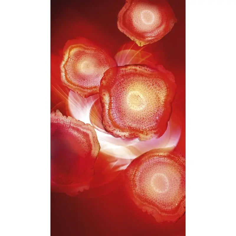 L'Oréal Paris Revitalift Energising Red Tagescreme - mit rotem Ginseng - 50 ml