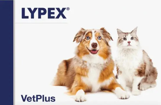 Lypex für Hunde und Katzen, 60 Kapseln