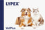 Lypex für Hunde und Katzen, 60 Kapseln