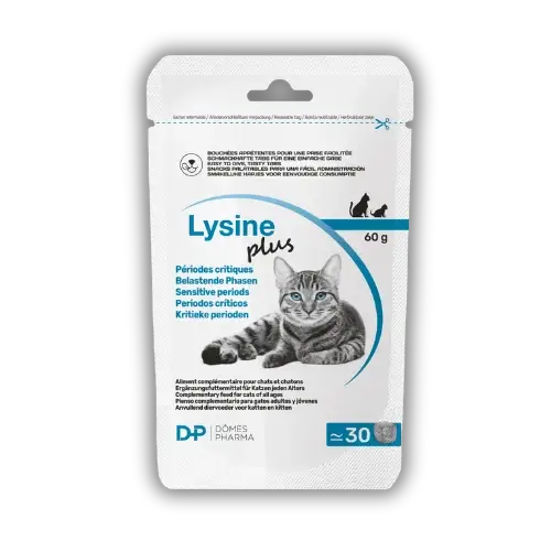 Lysine Plus 30 Snacks à 2 g
