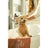 Masco Beauty Aloe Vera Detox Shampoo für Hunde, 250ml
