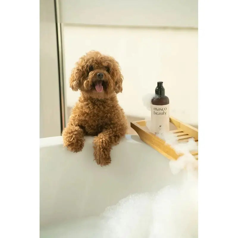 Masco Beauty Aloe Vera Detox Shampoo für Hunde, 250ml