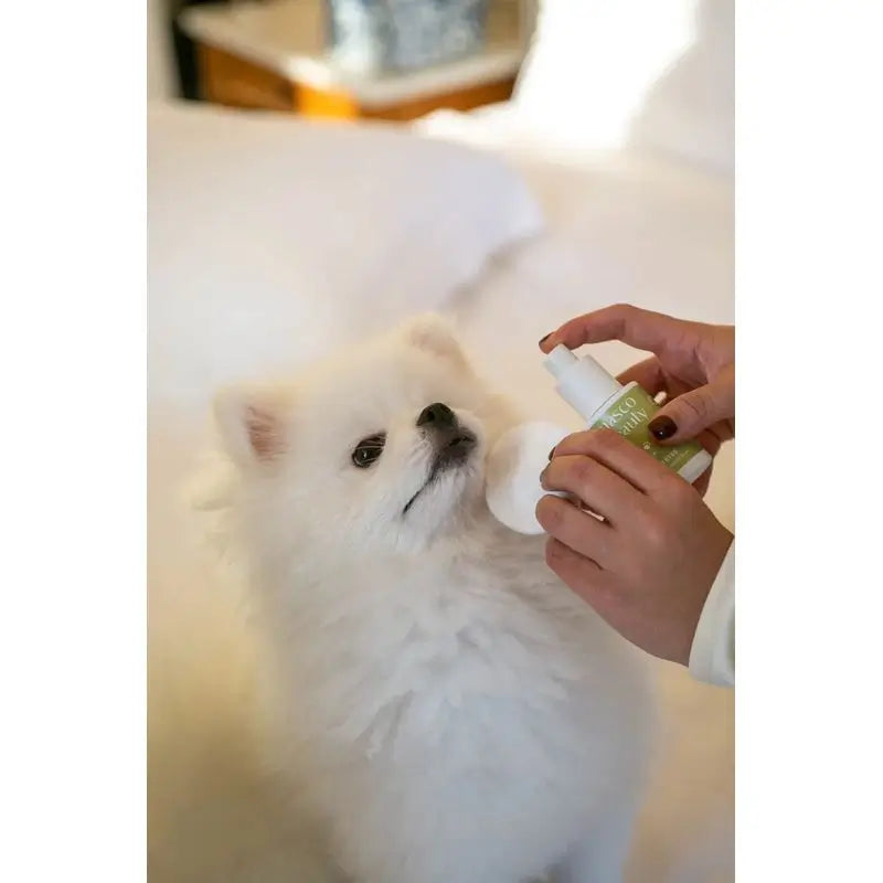 Masco Beauty Eye Cleanser für Hunde, 30ml