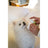 Masco Beauty Eye Cleanser für Hunde, 30ml