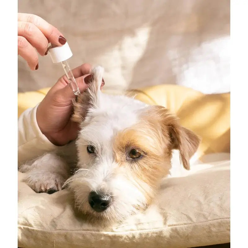 Masco Beauty Ohrreiniger für Hunde, 30ml
