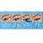 Maybelline New York Hyper Precise Eyeliner Precise Long Wear Waterproof, Farbton Parrot Blue
