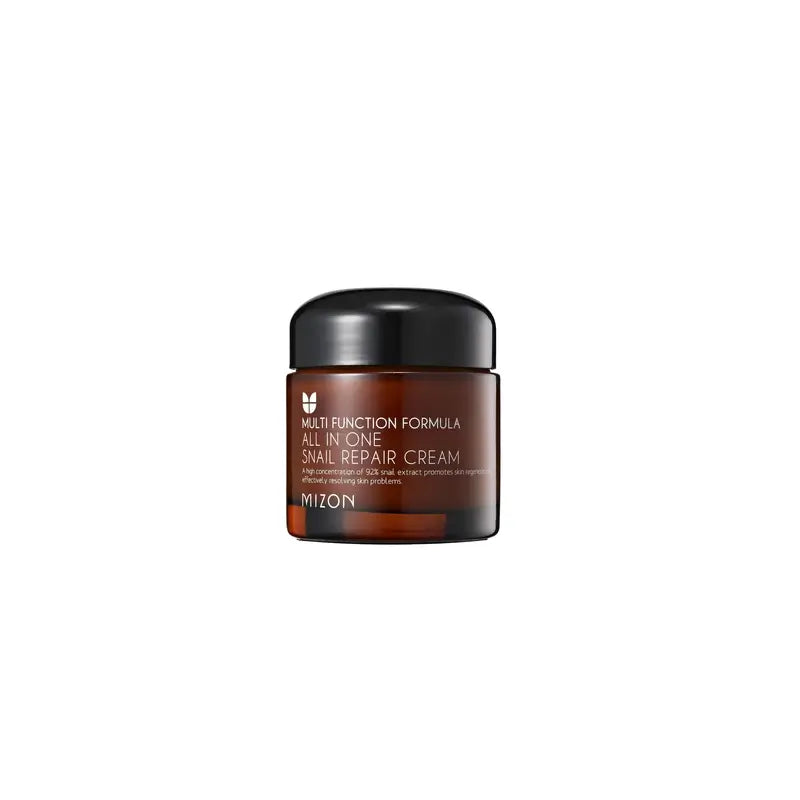Mizon All In One Schnecke Reparatur Creme 75G