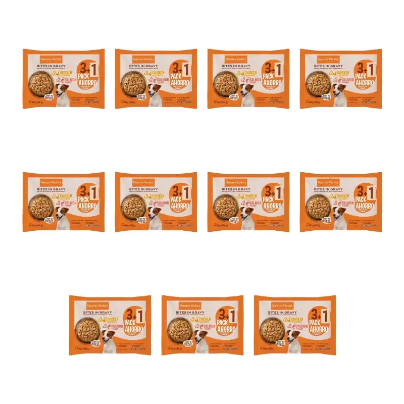 Nature's Variety Mini Flowpack, 100 g, 11er-Pack