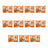 Nature's Variety Mini Flowpack, 100 g, 11er-Pack
