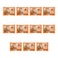 Nature's Variety Mini Flowpack, 100 g, 11er-Pack