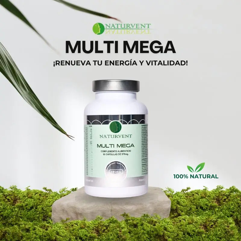 Naturvent Multivitamine Multi Mega Multivitamin, 90 Kapseln