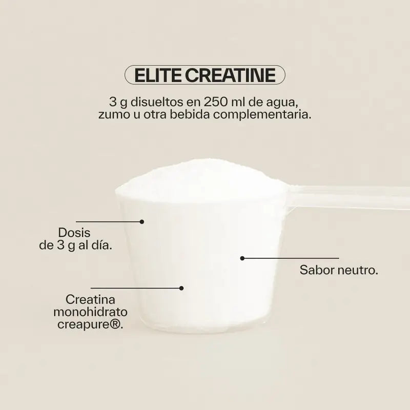 Ndl Pro-Gesundheit Elite Kreatin Creapure , 300 g