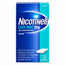 Nicotinell Cool Mint 2 mg 24 Medizinische Kaugummis