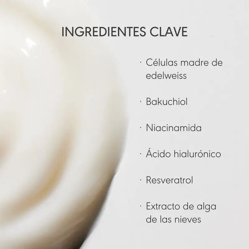 Nieves By Nieves Álvarez Straffende Gesichtscreme Absolute Lift Creme, 50 ml