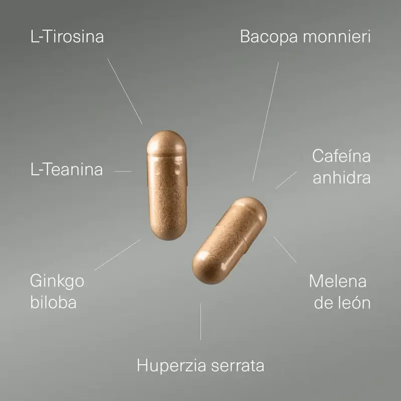 Aldous Labs Nootropic mit Ginkgo Biloba, Löwenmähne, Koffein, Bacopa, Tyrosin, Theanin, Theanin und Huperzine A