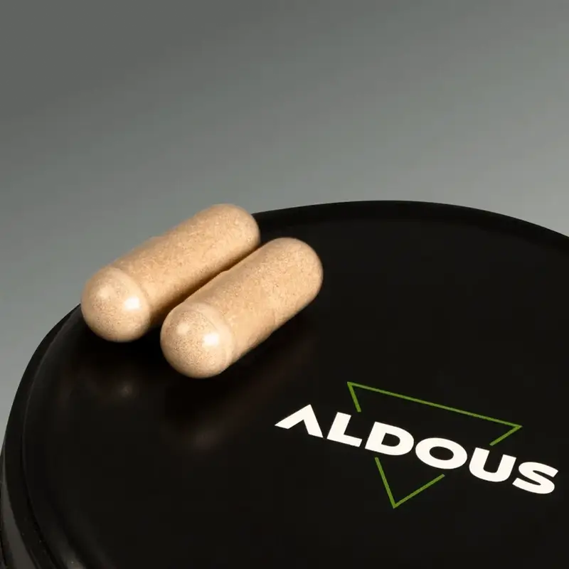 Aldous Labs Nootropic mit Ginkgo Biloba, Löwenmähne, Koffein, Bacopa, Tyrosin, Theanin, Theanin und Huperzine A