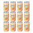 Nutriben Potito Assorted Fruits, 12 x 235 Gramm