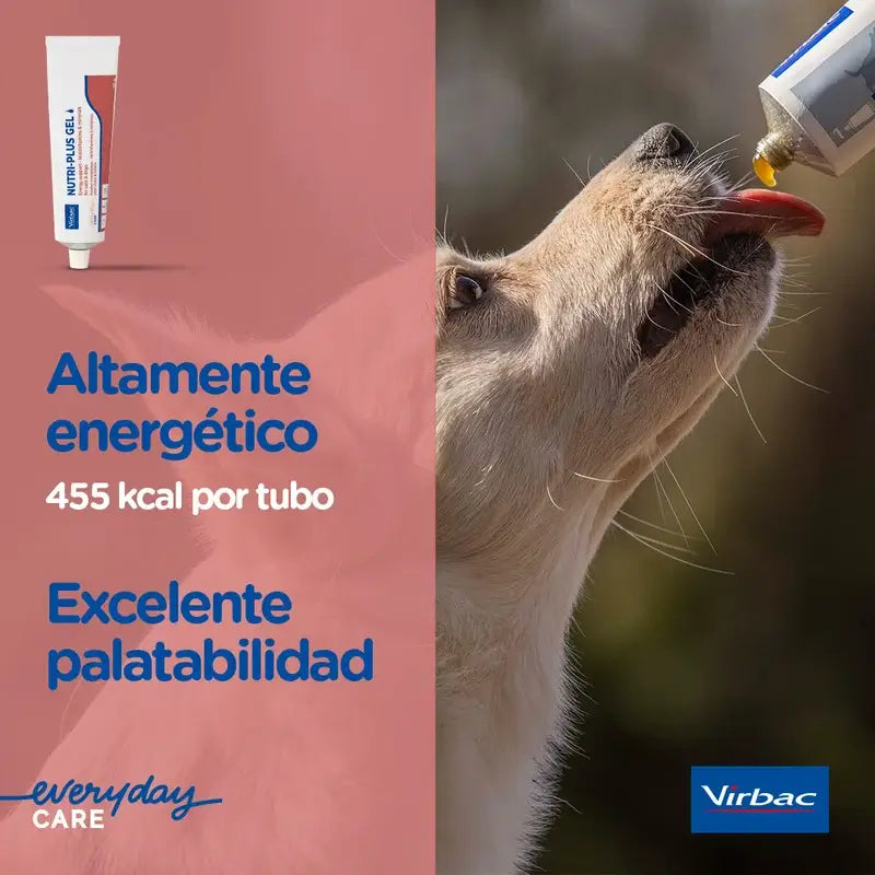 Virbac Nutriplus Gel 120 g, Ergänzungsmittel für Hunde und Katzen