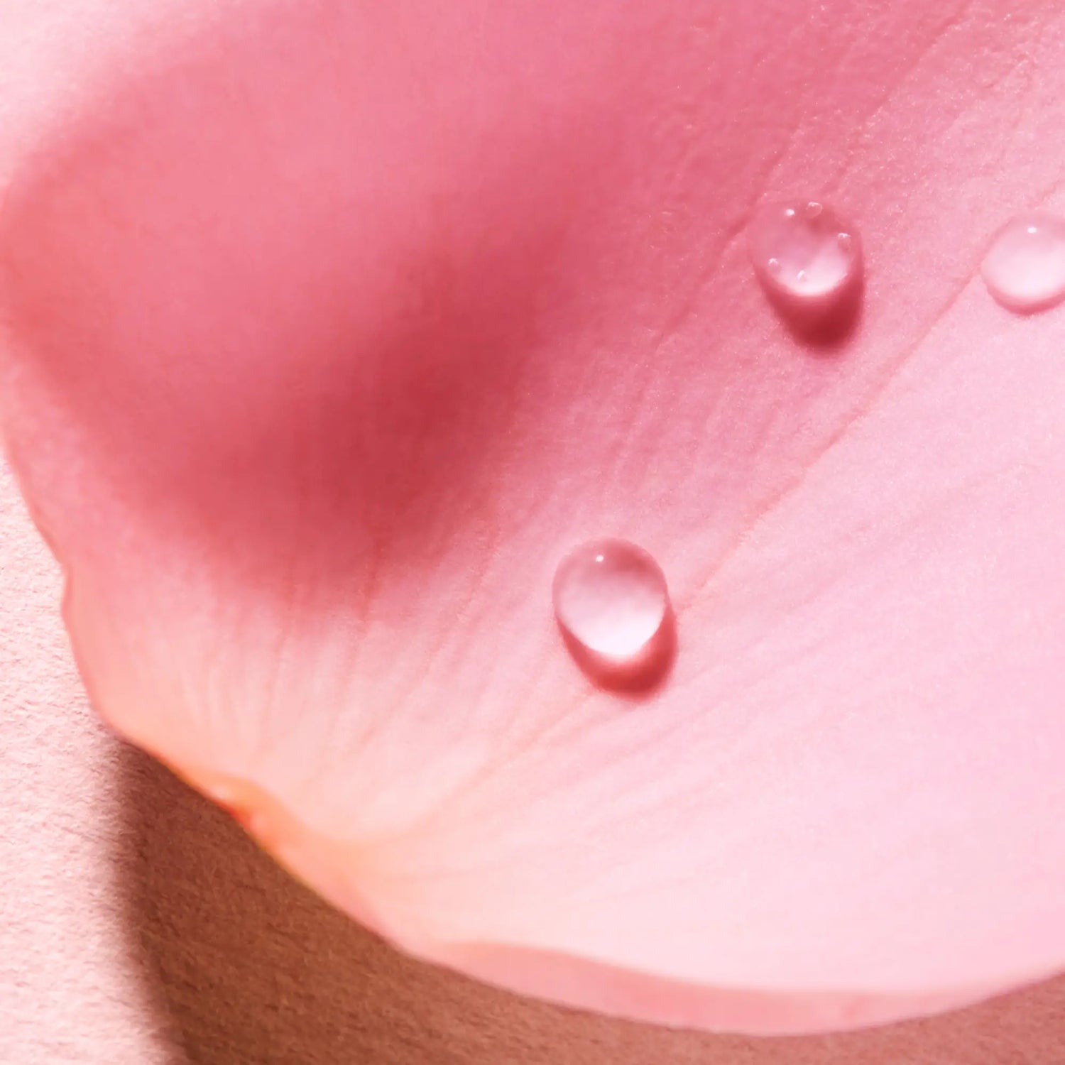 Nuxe Very Rose - duftende üppige Wasser 100 Ml