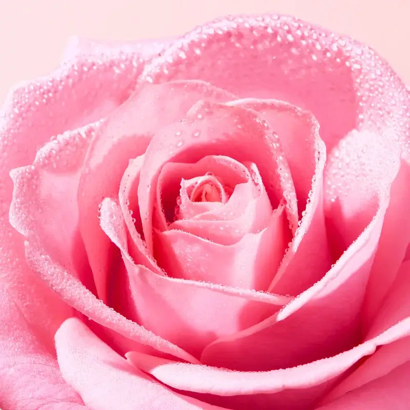 Nuxe Very Rose Lippenbalsam