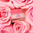 Nuxe Very Rose Lippenbalsam