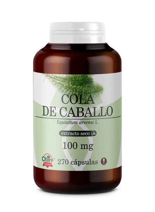 Obire Großformat-Schachtelhalm 100 Mg, 270 Kapseln