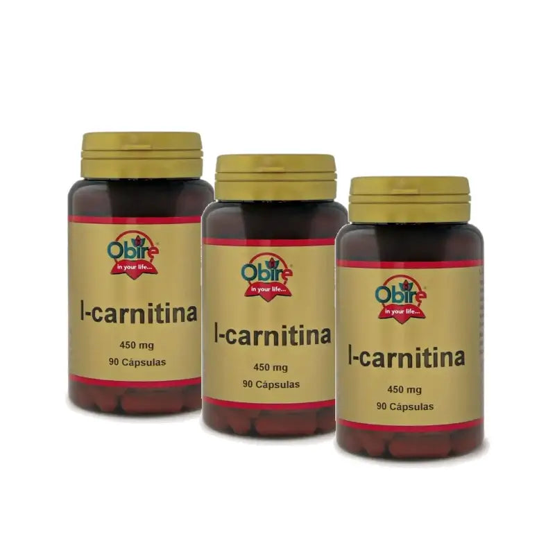 Obire L-Carnitin, Packung mit 3 x 90 Kapseln