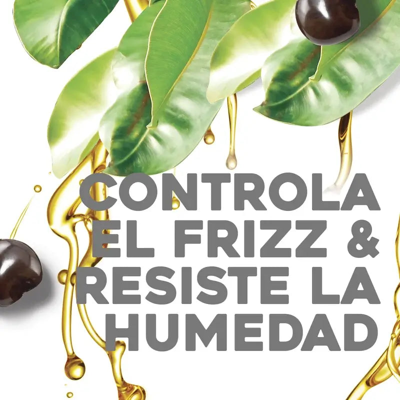 OGX Kukui Öl Shampoo Anti-Frizz, 385 ml