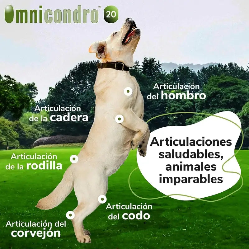 Omnicondro 20 Chondroprotector für Hunde, Packung 3 x 60 Tabletten