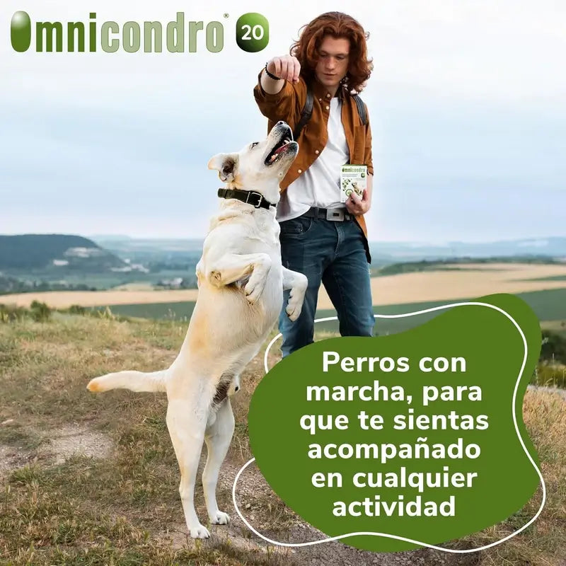 Omnicondro 20 Chondroprotector für Hunde, Packung 3 x 60 Tabletten