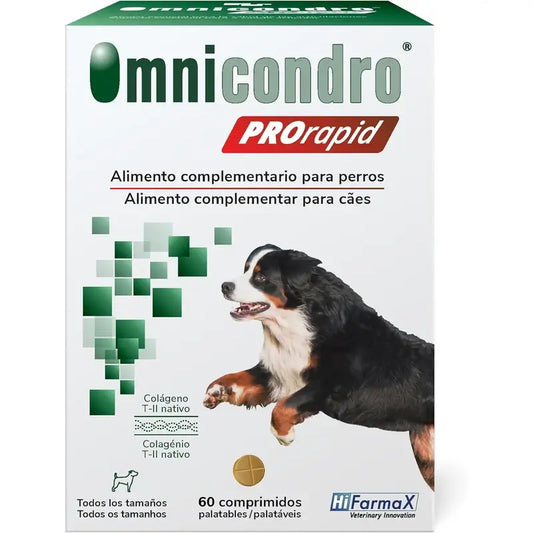 Omnicondro Prorapid, 60 Tabletten