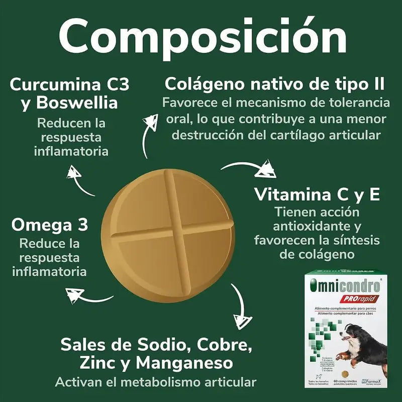 Omnicondro Prorapid, 60 Tabletten