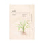 Ondo Beauty 36.5 Adenosin & Zhi Mu Straffende Tang-Tang Maske, 25 g