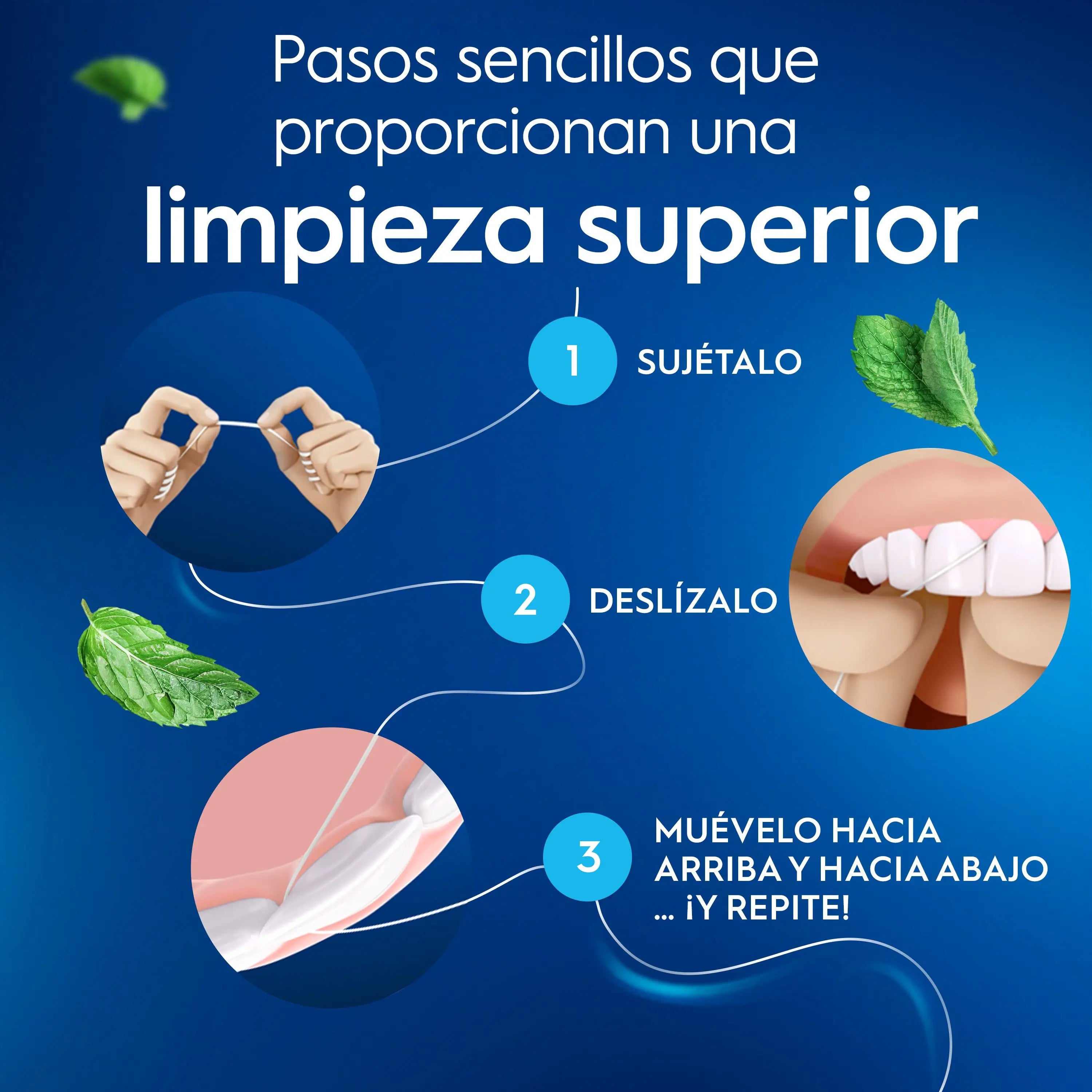 Oral-B Essencial Zahnseide Wachs/Minze 50 mt