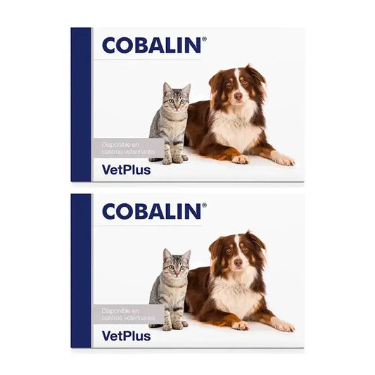 Packung Cobalin, Packung 2 x 60 Kapseln