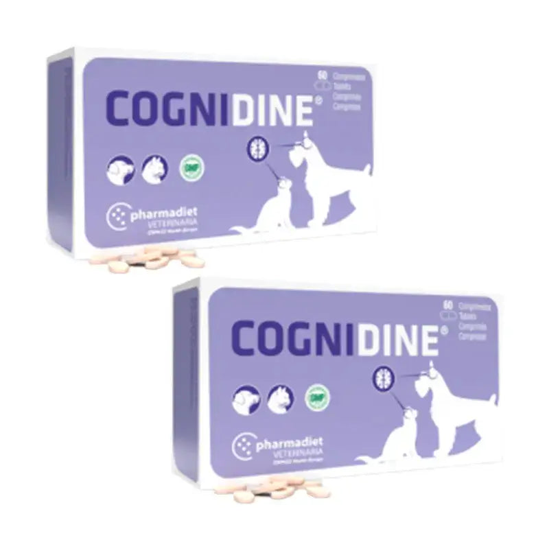 Cognidine Pack, Packung 2 x 60 Tabletten