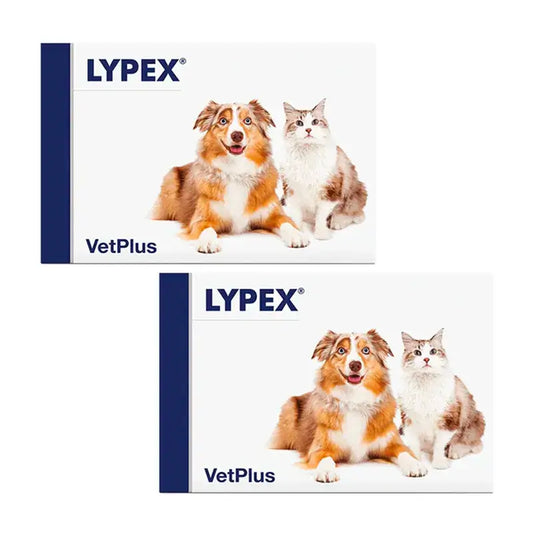 Lypex Blister, Packung 2 x 60 Kapseln