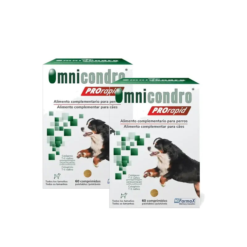 Omnicondro Prorapid, Packung 2 x 60 Tabletten