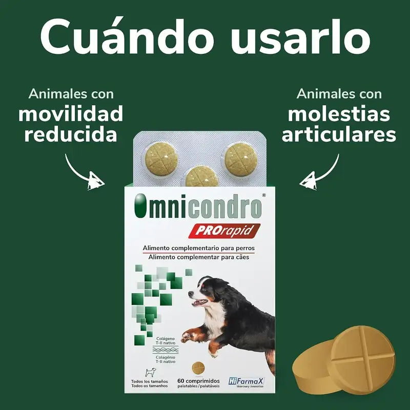 Omnicondro Prorapid, Packung 2 x 60 Tabletten