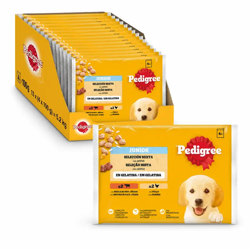 Pedigree 4Pack Junior Huhn & Reis Sachets 13X4X100